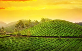 KERALA TOUR PACKAGE FOR 4 DAYS - DELUXE Image