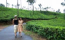 Coorg Image