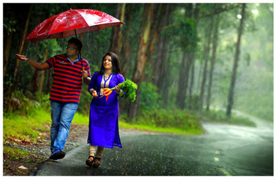 Kerala Honeymoon Image
