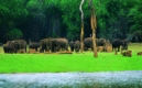 Thekkady Image