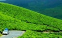 Munnar Image