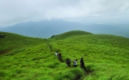 Wayanad Image