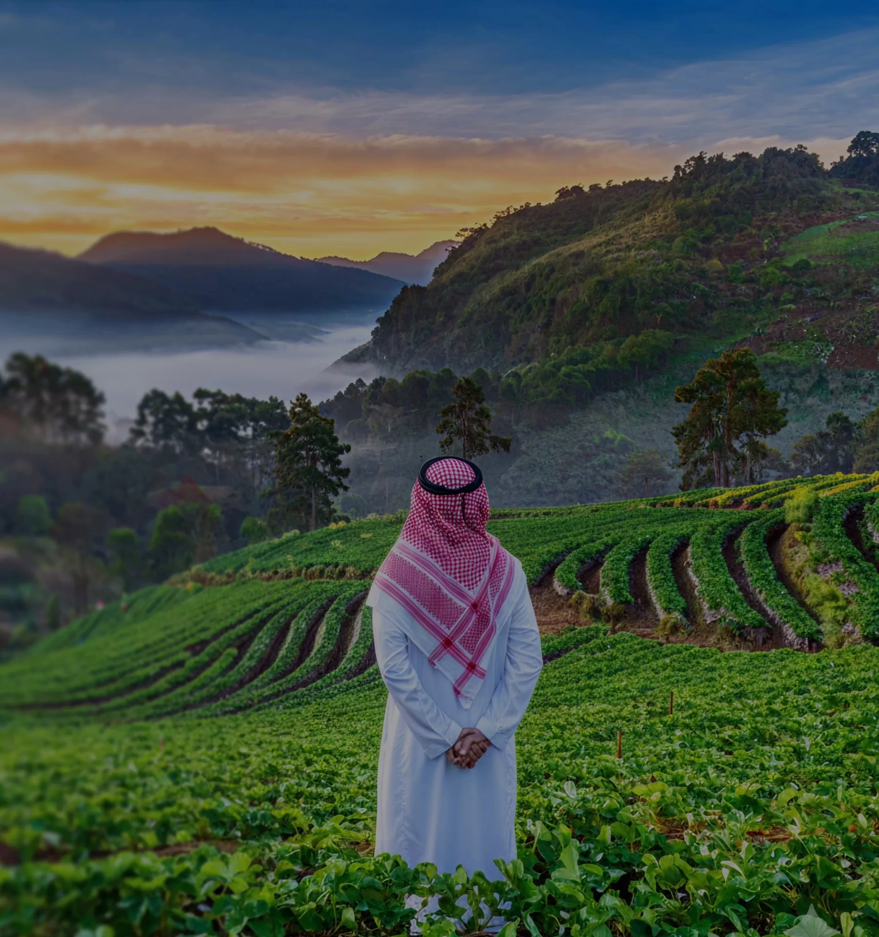 Kerala Green Season Tour Packages