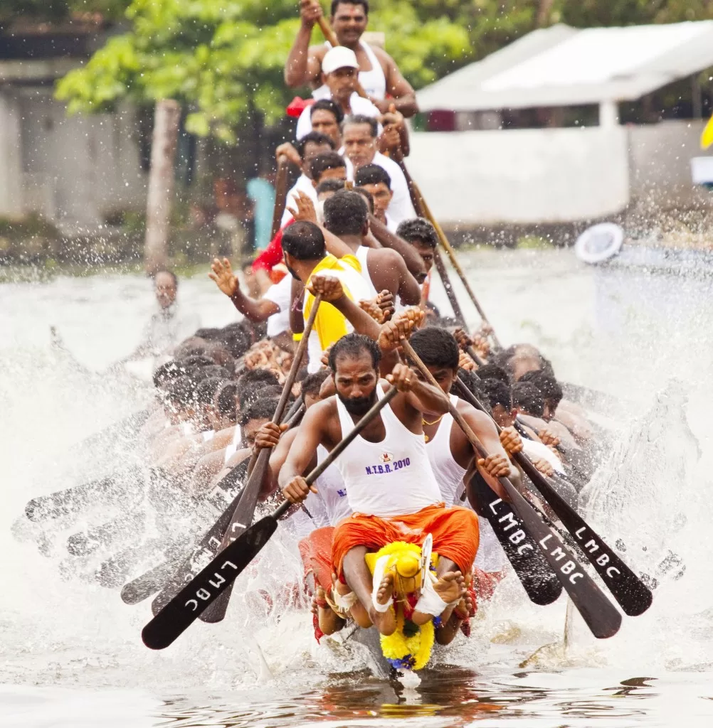 Snake Boat Race Experience