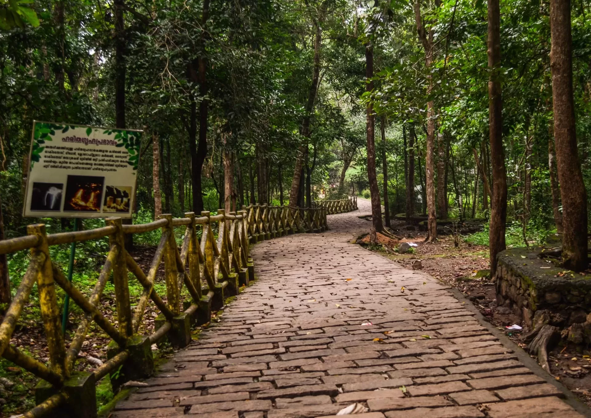 Nature Walks and Eco Tourism