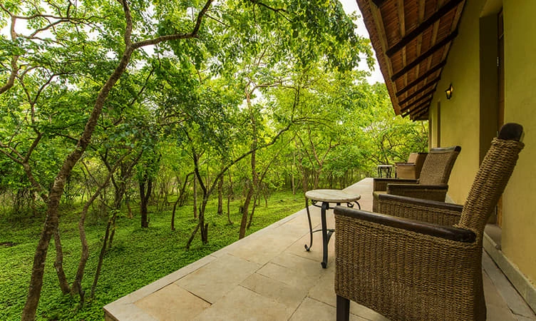 Jungle Resort Stay