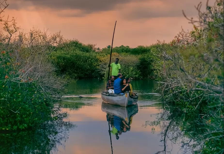 Backwater and Coastal Exploration