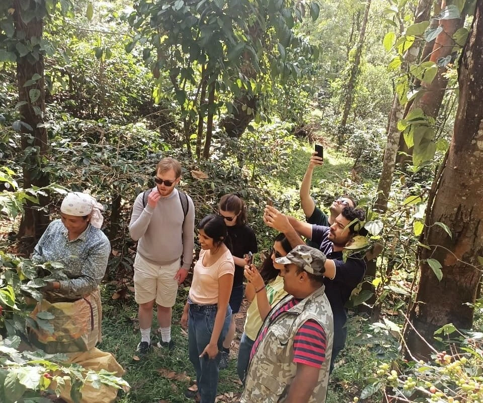 Coffee Plantation Tour