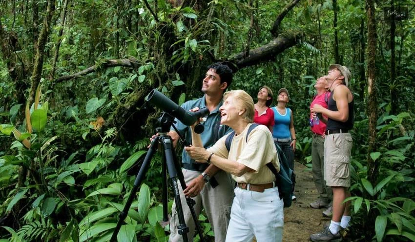 Wildlife and Birdwatching