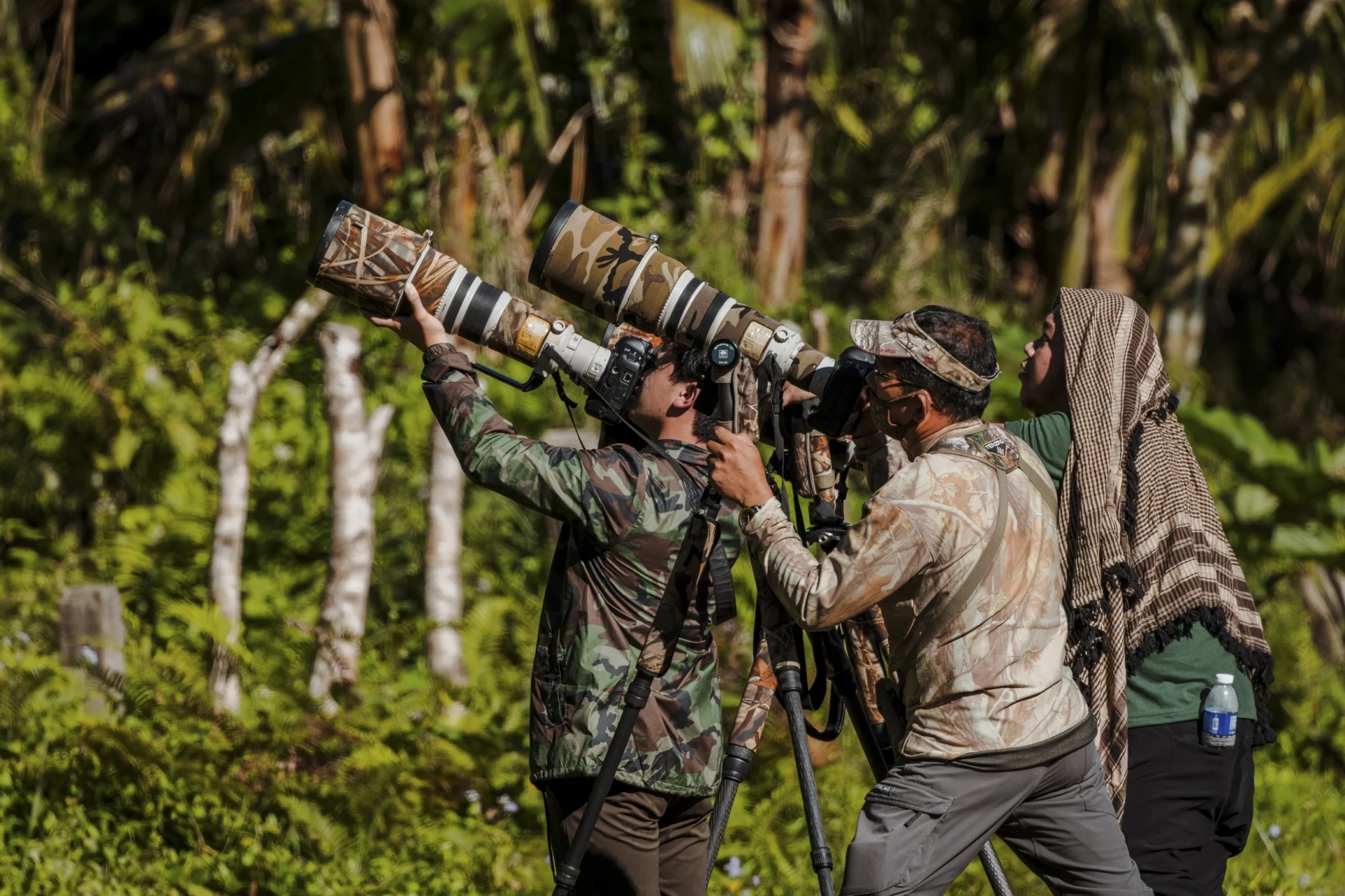 Birdwatching Experience