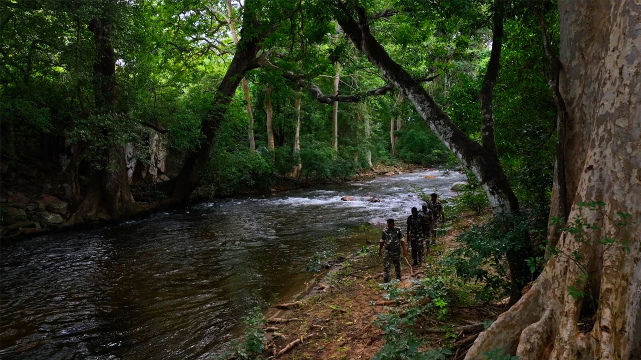 Guided Nature Trek