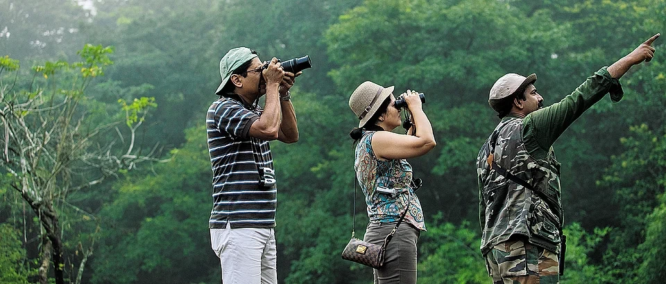 Bird Watching Wildlife South India Tour