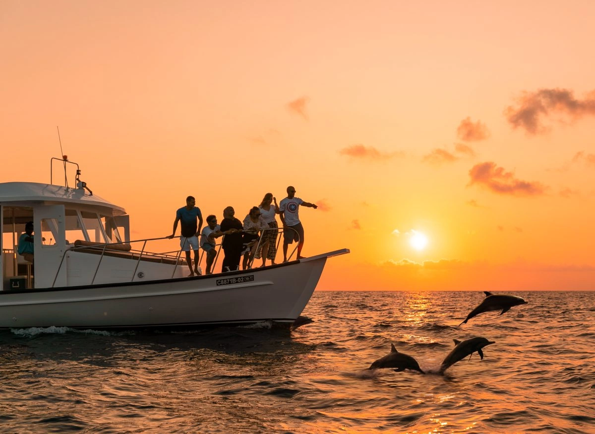 Enjoy a Sunset Dolphin Cruise