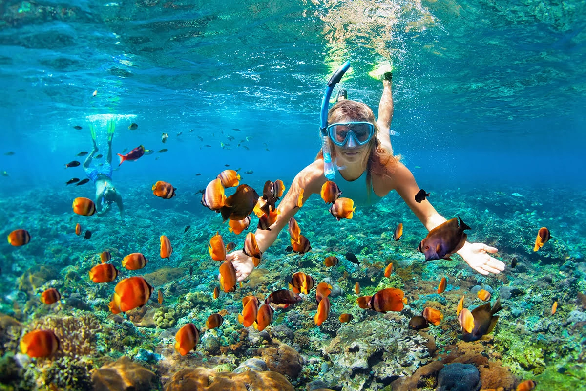 Enjoy Island-Hopping and Snorkelling
