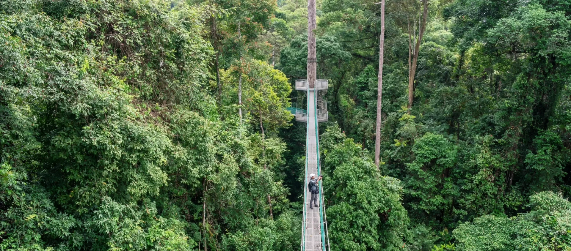Experience Malaysian Borneo's Rainforests