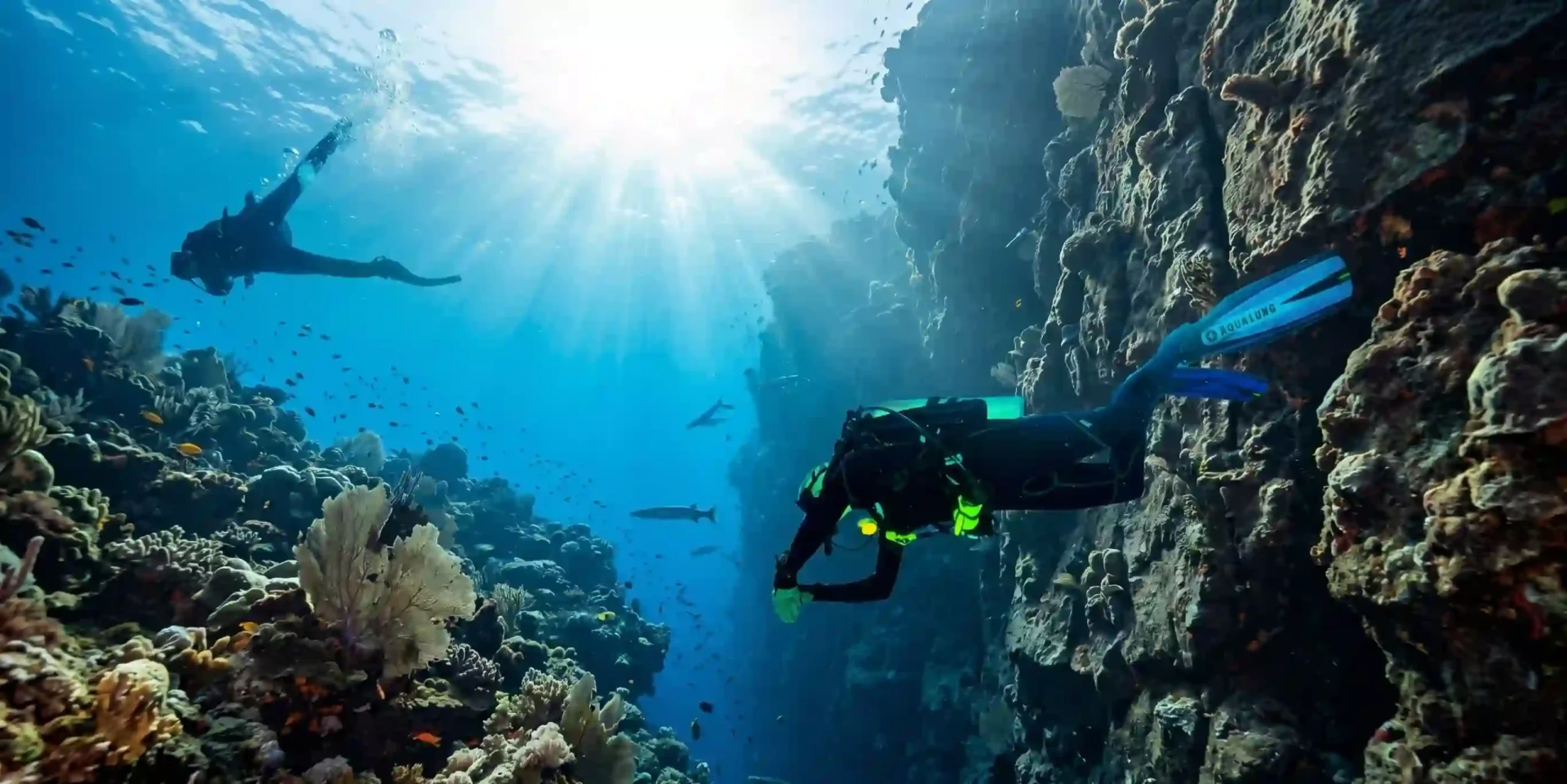 Explore the Underwater World Through Scuba Diving