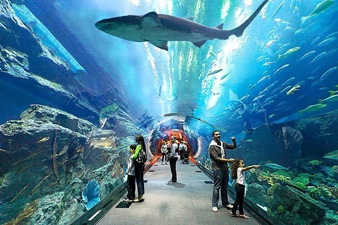 Explore Underwater World Pattaya