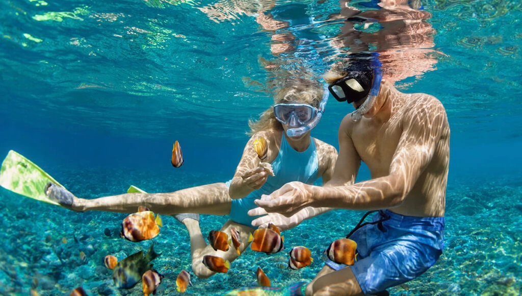 Snorkel in Crystal-Clear Lagoons