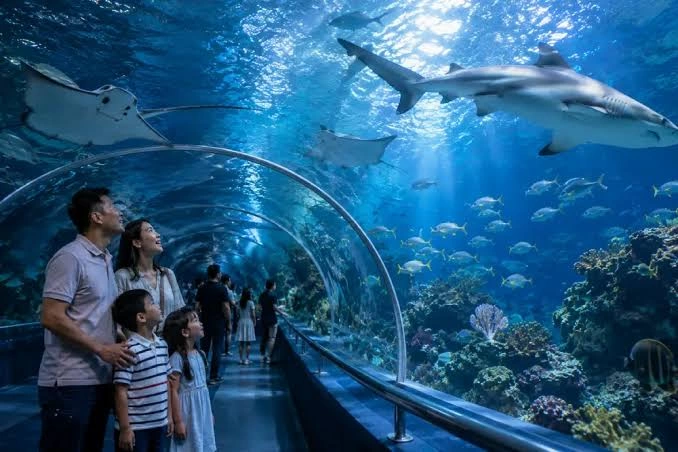 Visit SEA LIFE Bangkok Ocean World