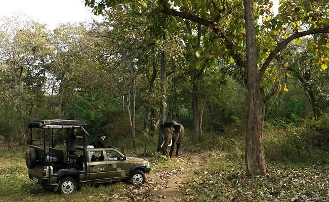 Jeep Safari in Nagarhole National Park