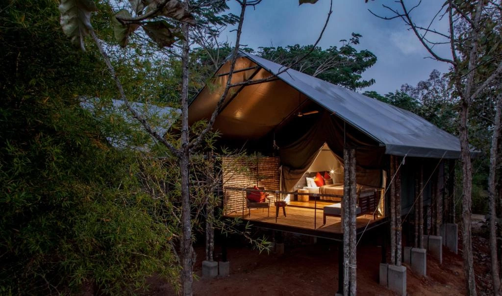 Jungle Resort Stay