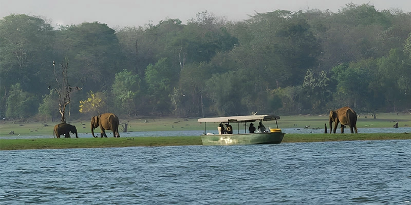 Kabini River Boat Safari