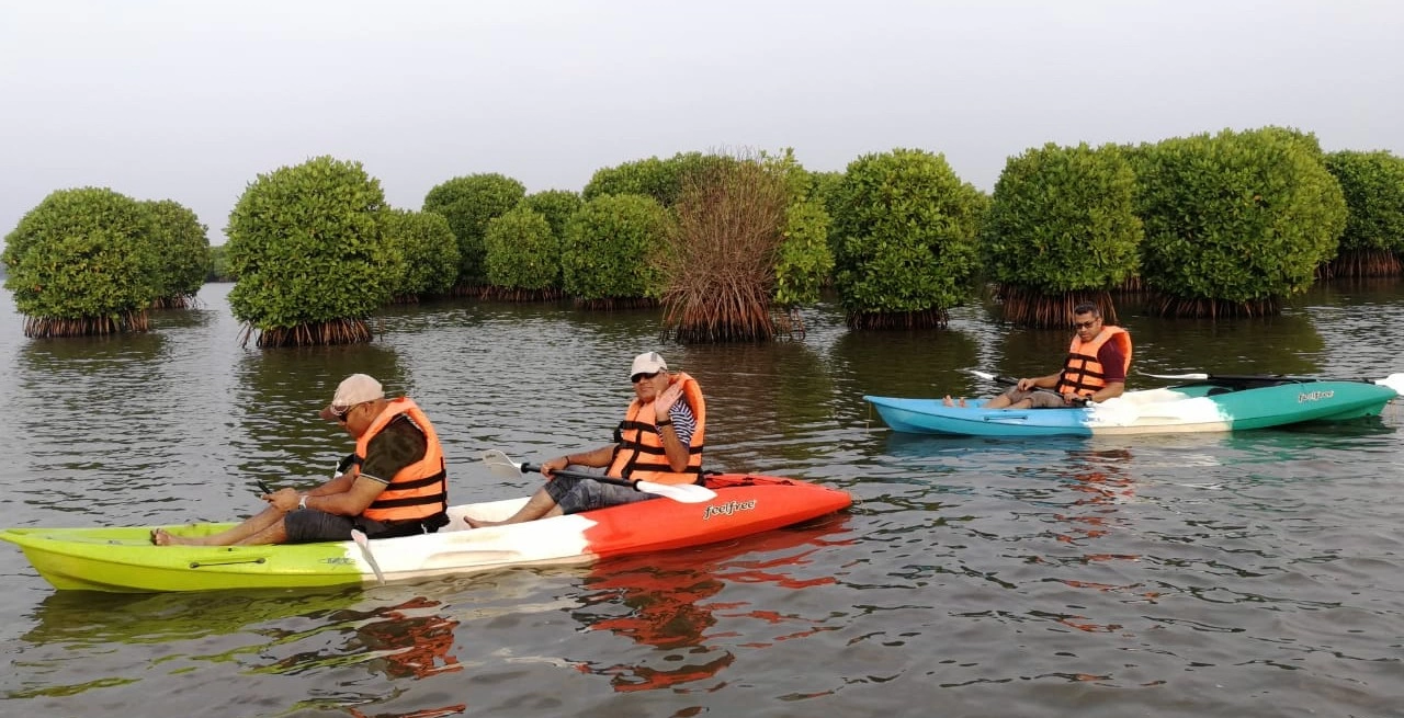 Kayaking Through Backwaters