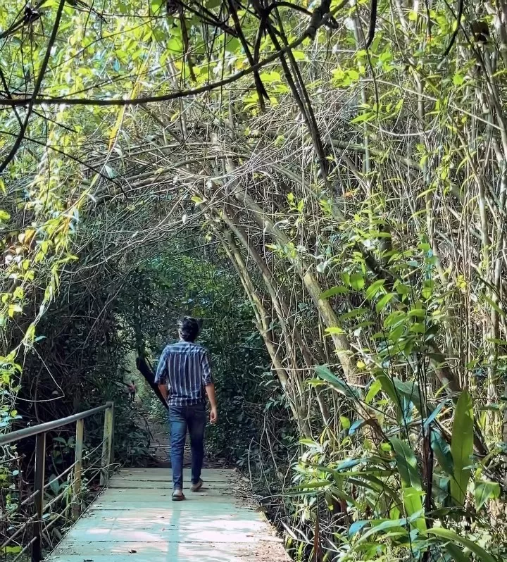 Kumarakom Bird Sanctuary Visit