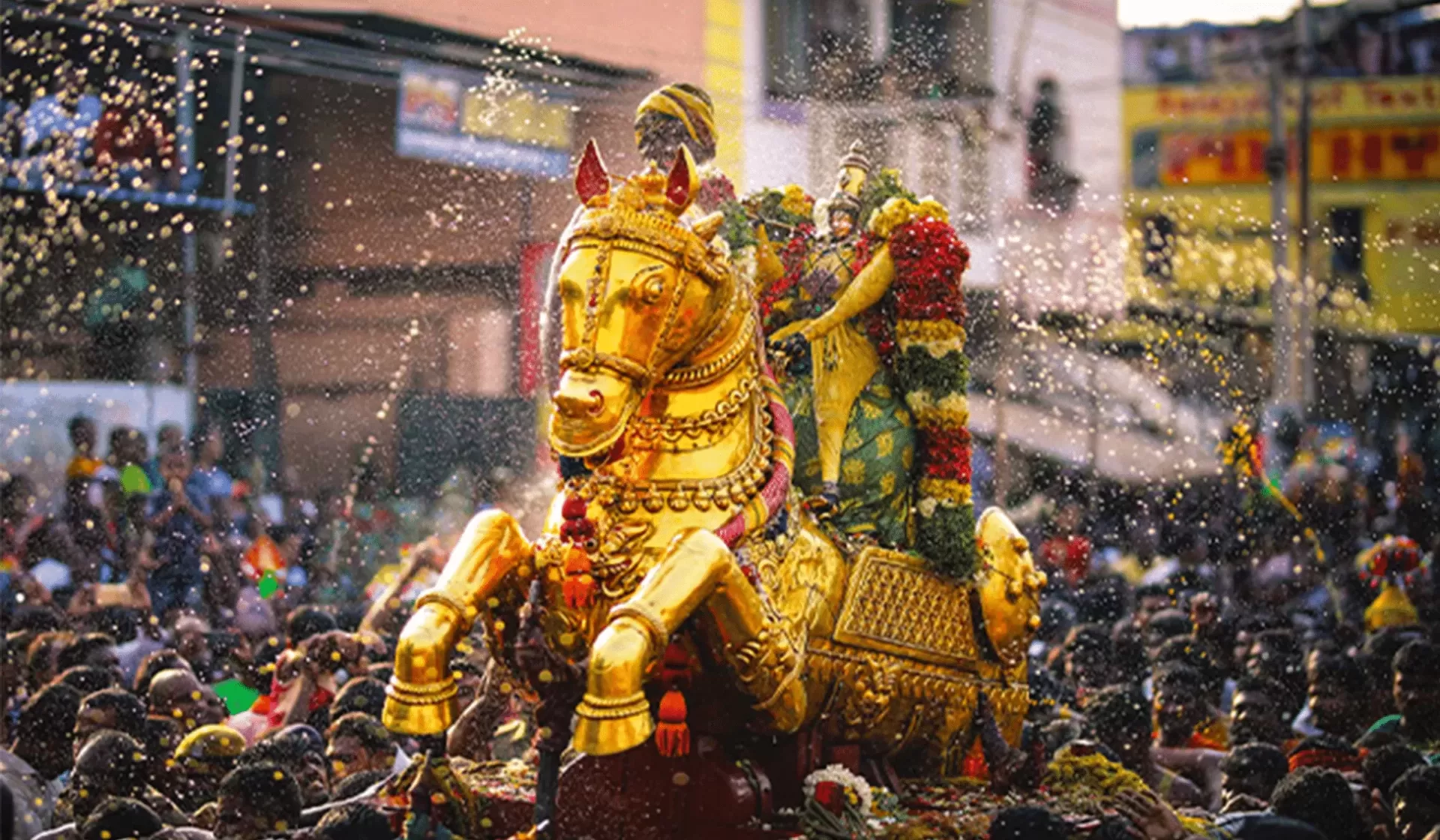 Experience South Indian Culture