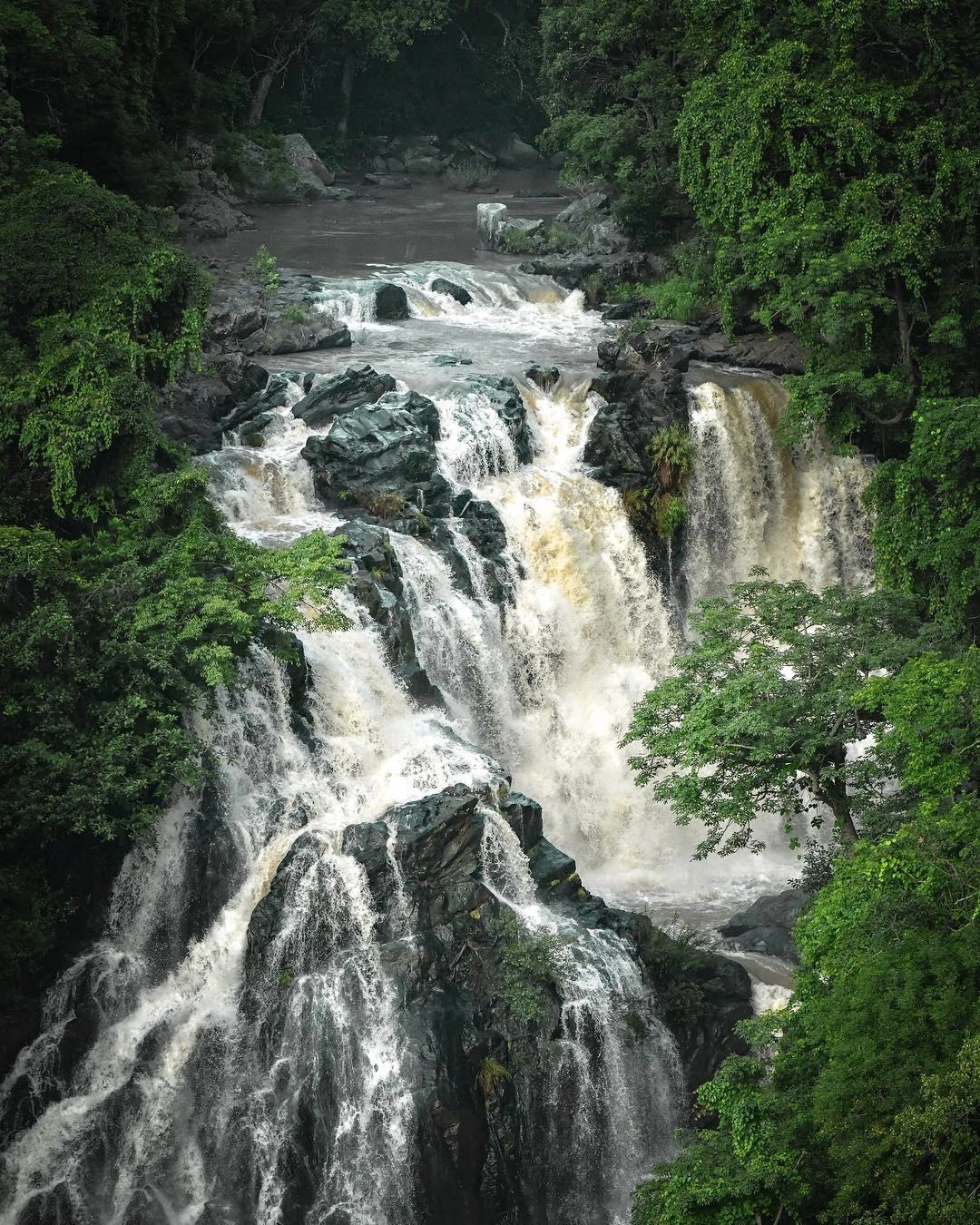 Moyar River Viewpoints