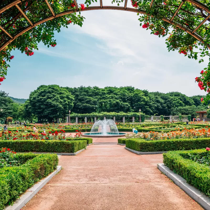 Botanical Garden Visit