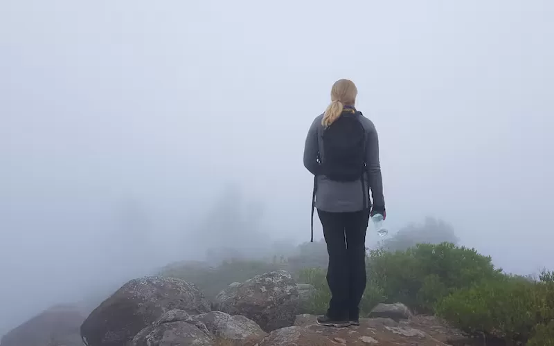 Doddabetta Peak Sightseeing