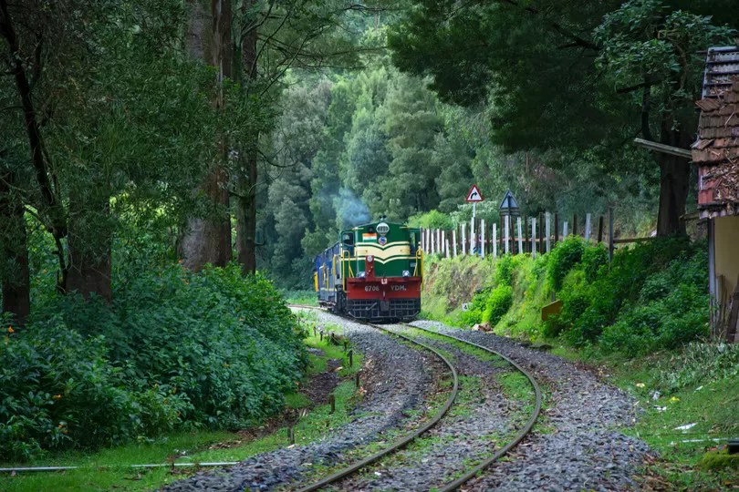 Nilgiri Mountain Railway Ride