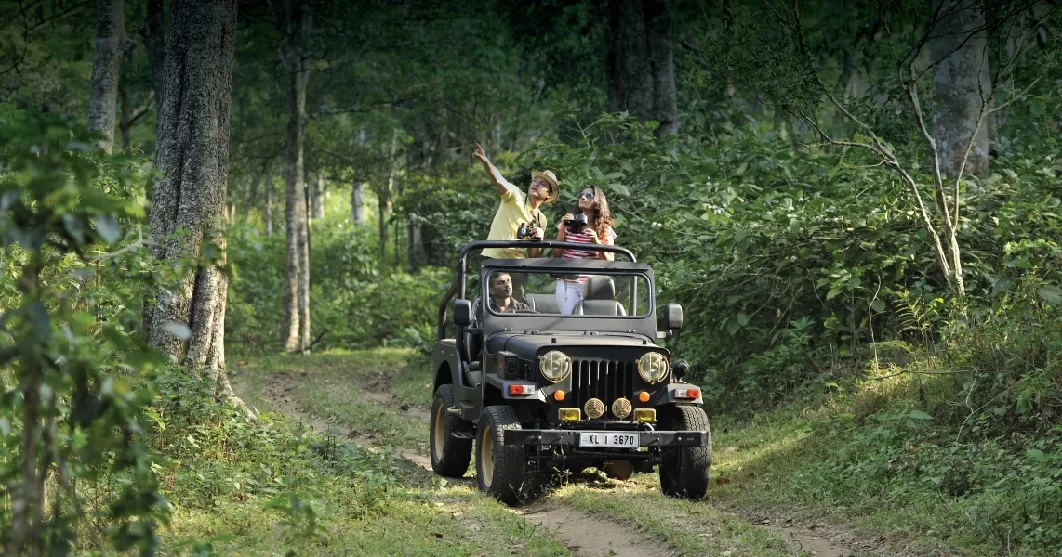 Periyar Wildlife Sanctuary Safari