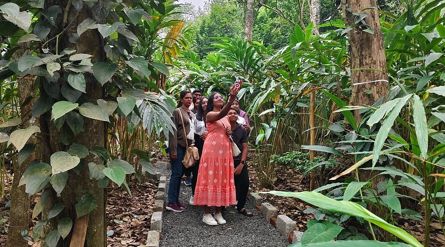 Spice Plantation Visit