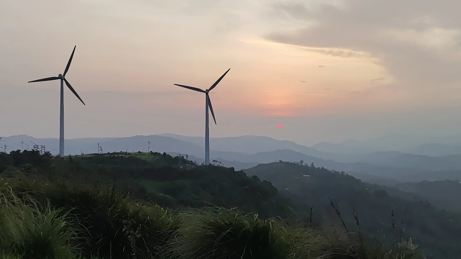 Windmill Farm
