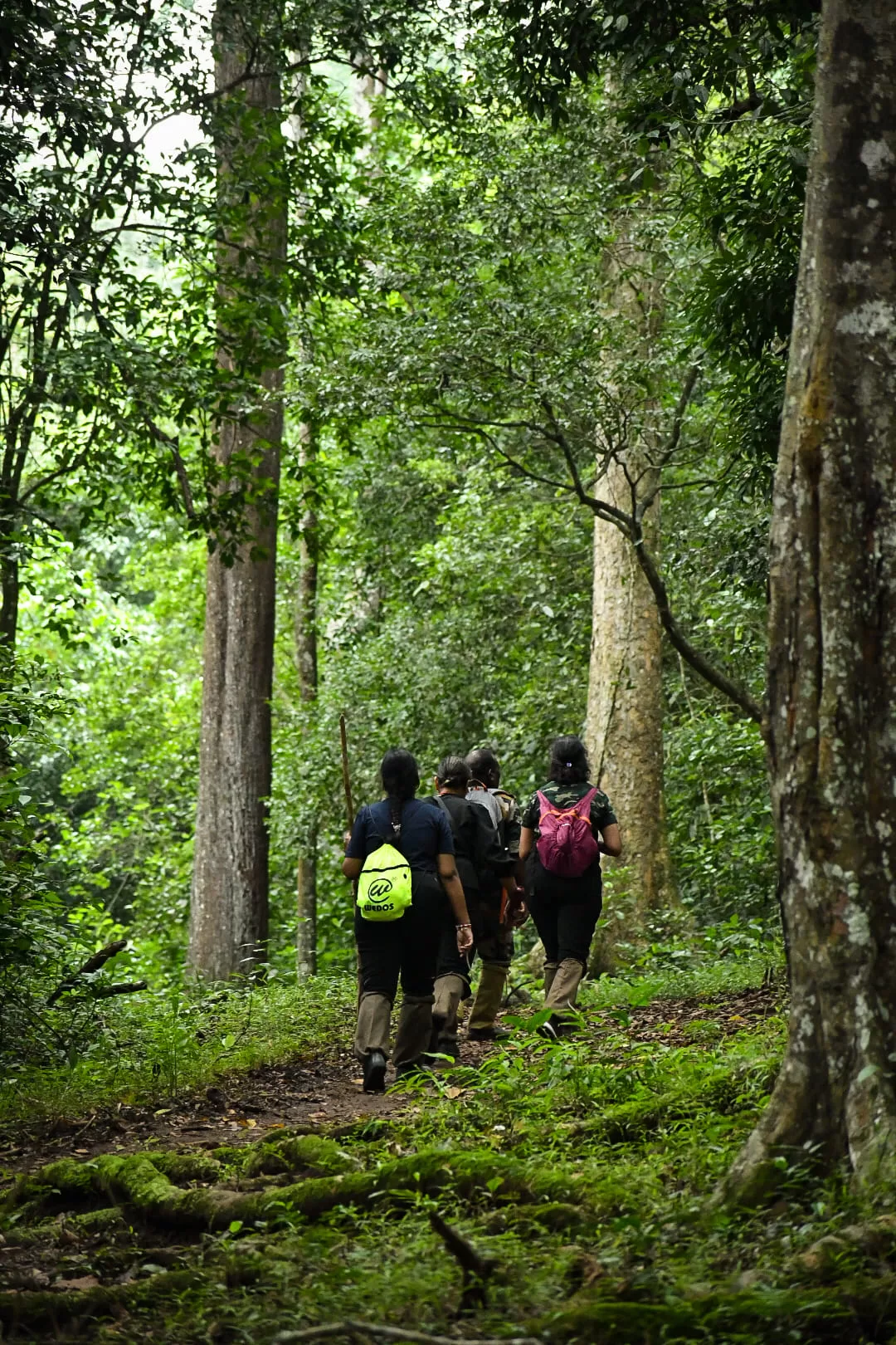 Jungle Trekking Experience