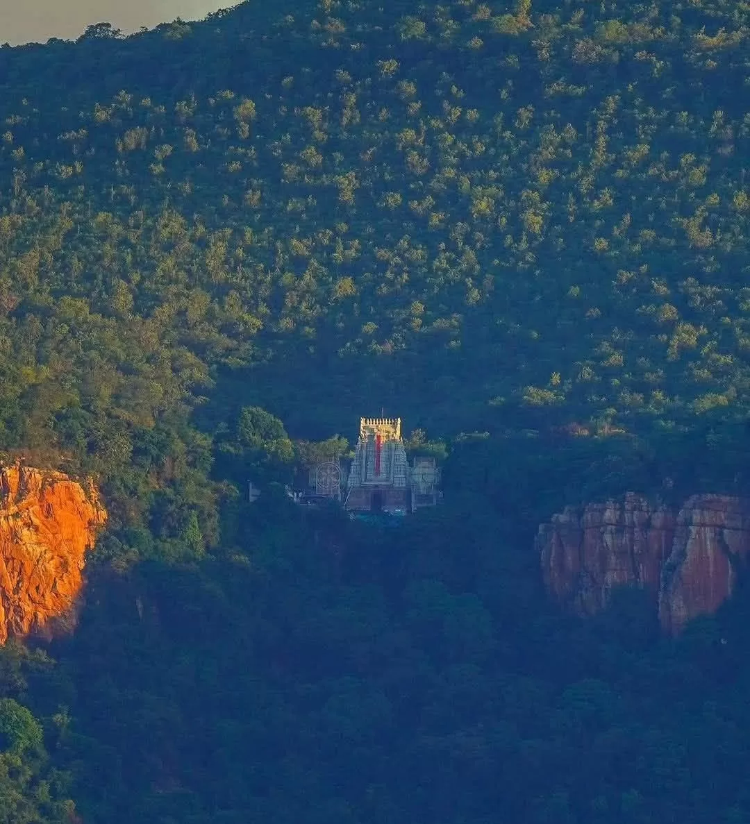 Sacred Tirumala Hills Journey