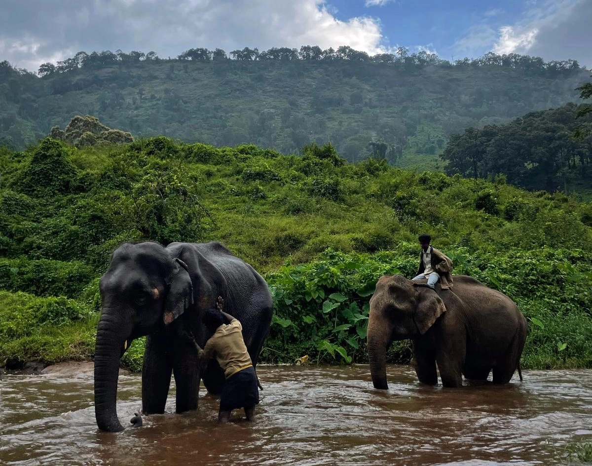 Elephant Camp Visit