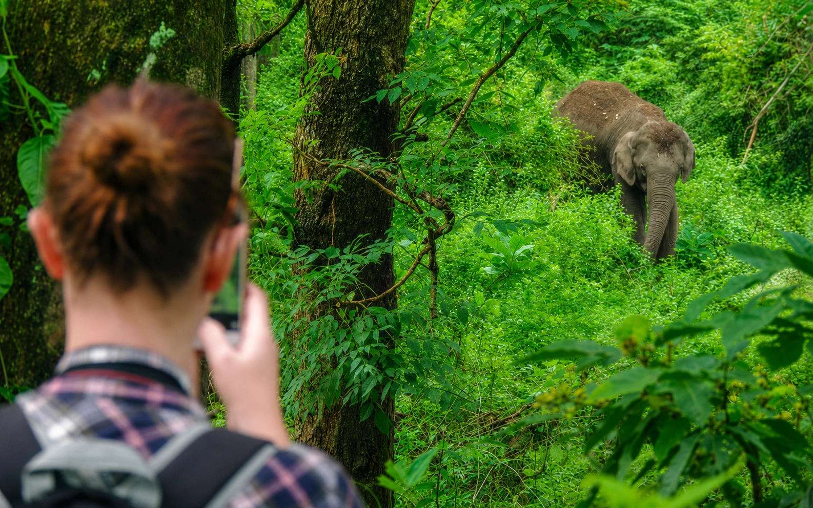 Photography Tours