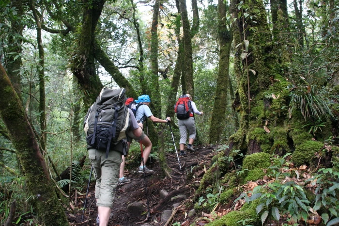 Trekking Adventures