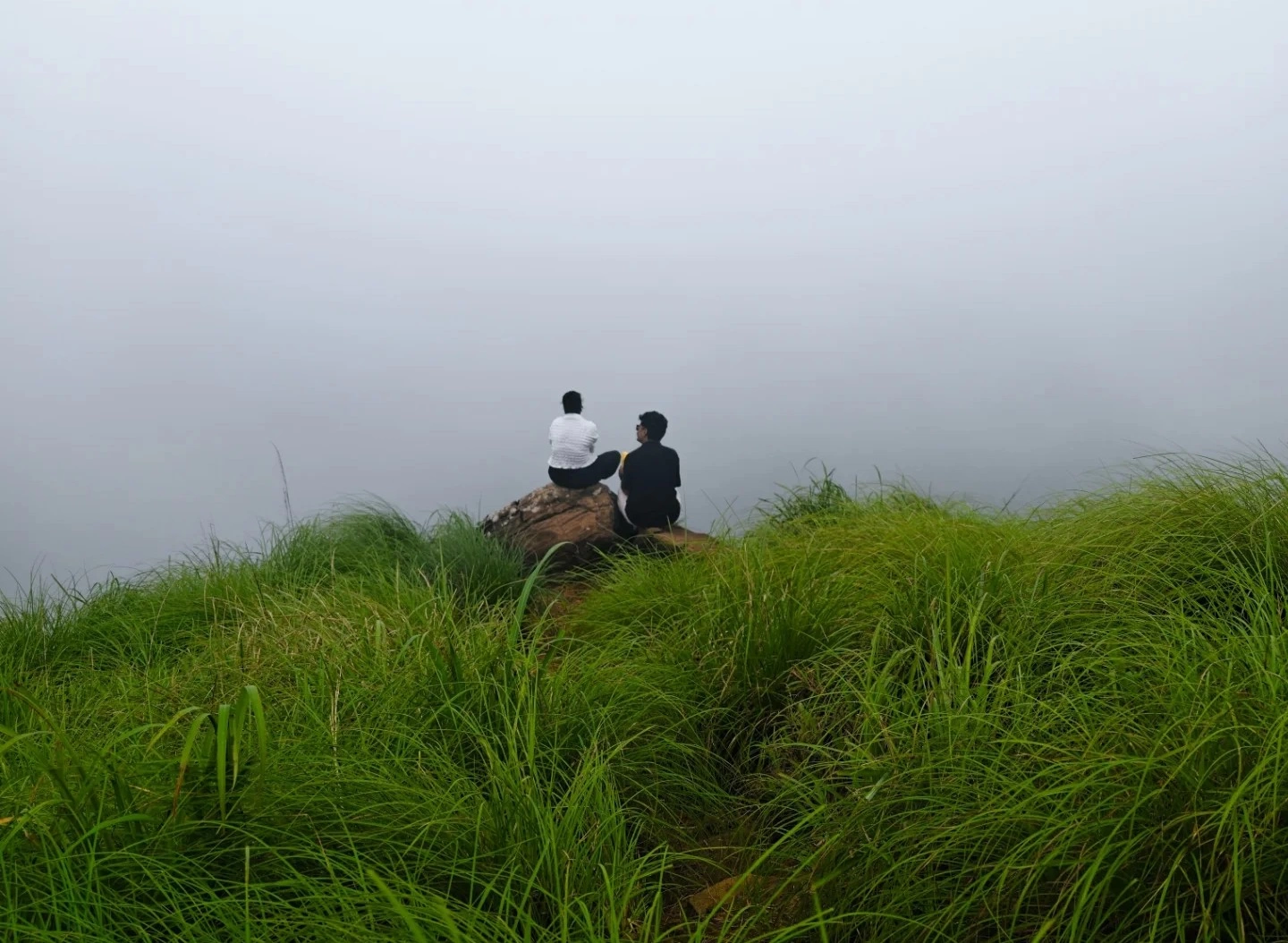 Trekking Through Grasslands