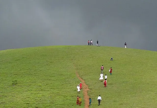 Vagamon Meadows Walk