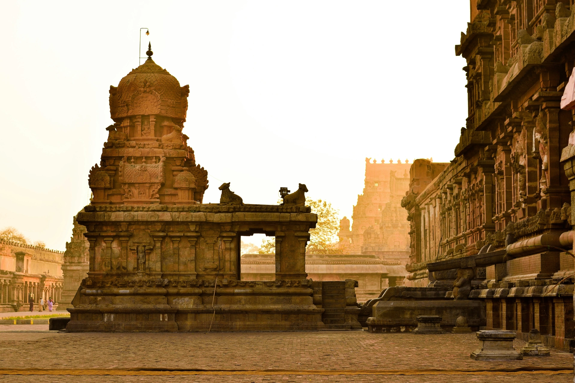 Visit Brihadeeswarar Temple