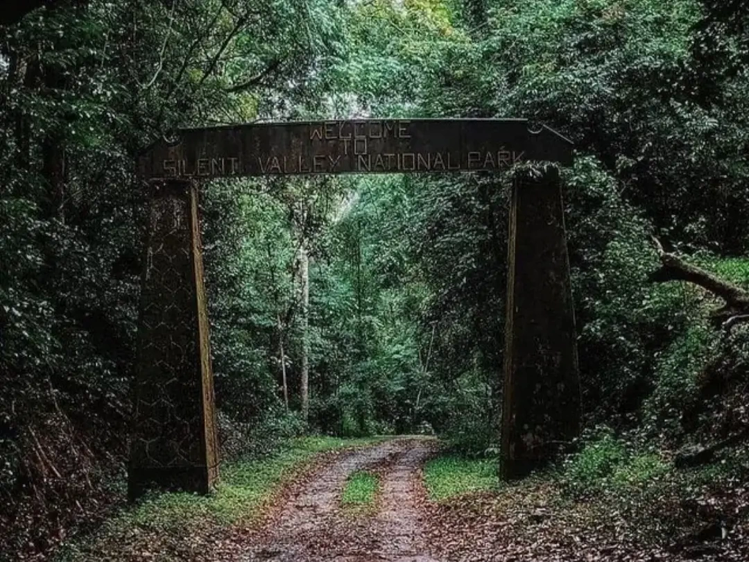 Visit Silent Valley National Park