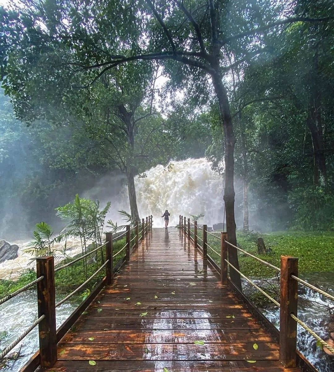 Coorg