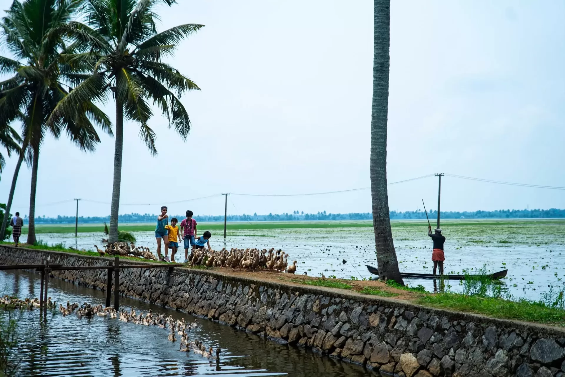 Marari Kumarakom Houseboat Tour