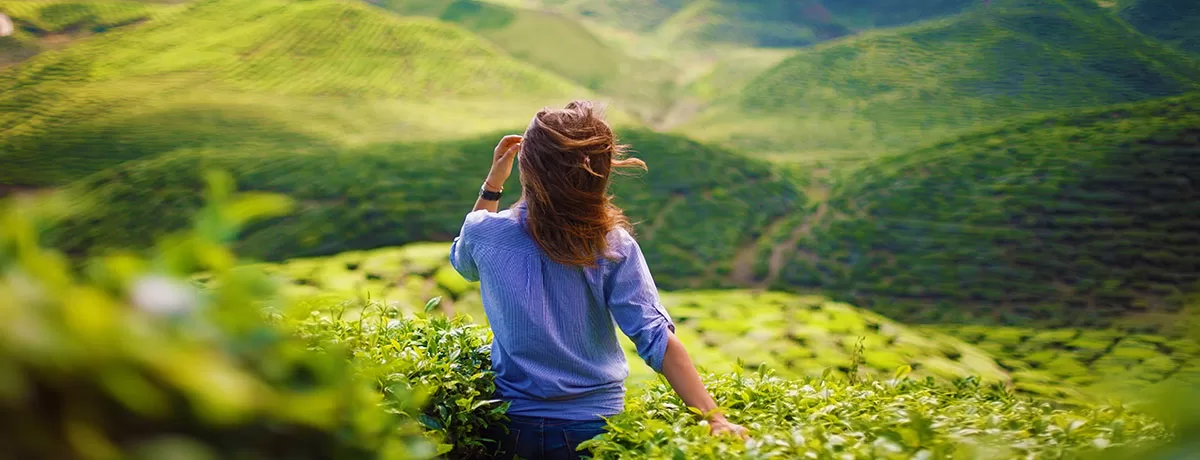 Kerala Tour Package with Marari