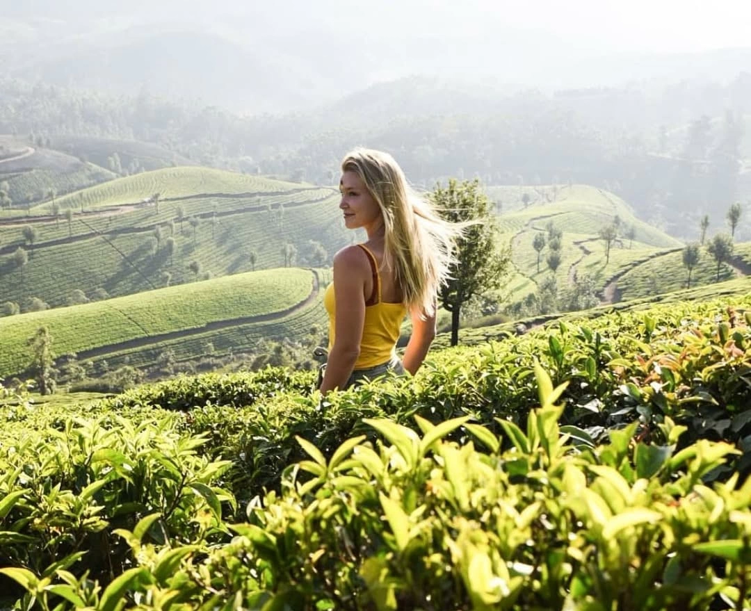 Bespoke Kerala Holidays with Private Driver