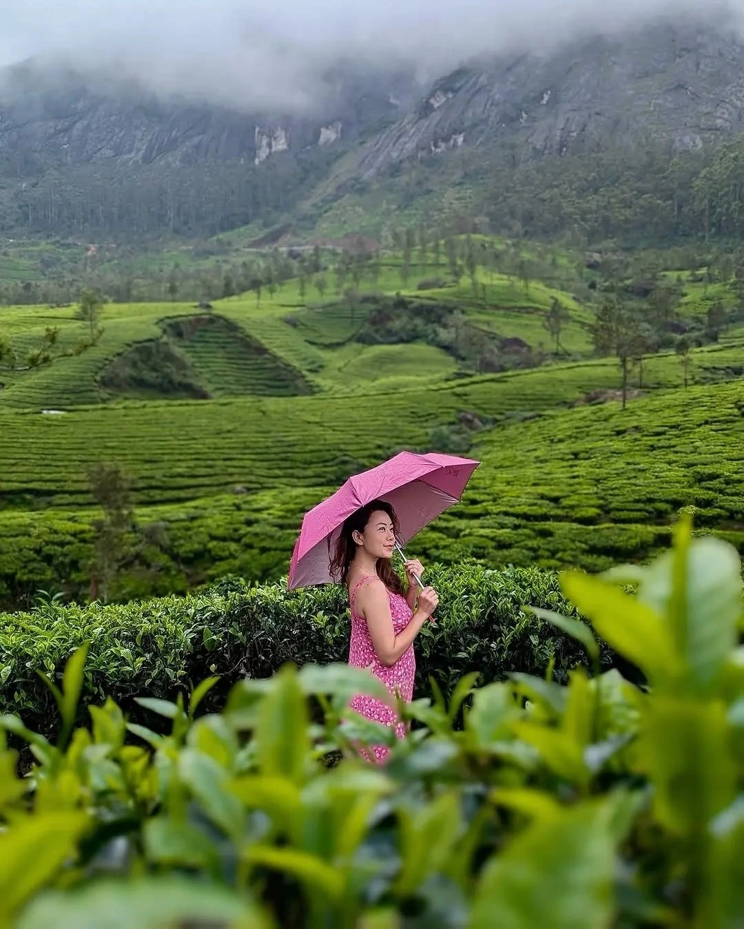 Private Guided Kerala Tour gallery 4
